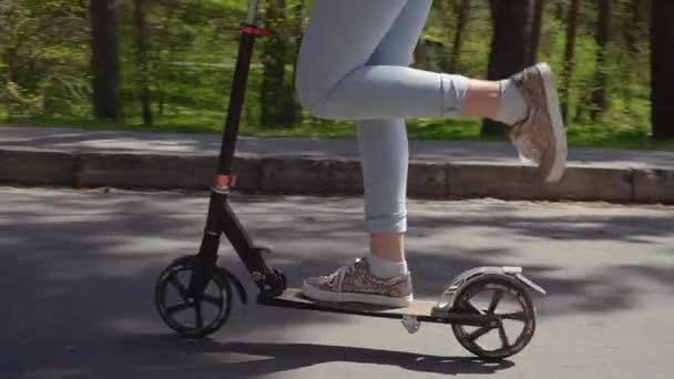 Best Adult Kick Scooters Under $100