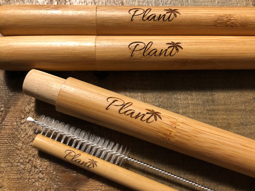 PlanT Bamboo Straw On-The-Go Kit